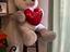 Immagine 5