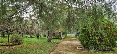 Terreno di 2300 m² a Tivoli