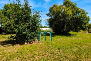 Rif.504| area edificabile mirano