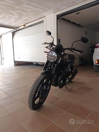 Moto guzz v7 stone