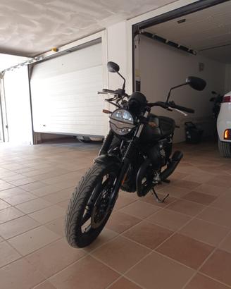 Moto guzz v7 stone
