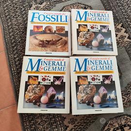 Il magico mondo di minerali e Gemme. Fossili  