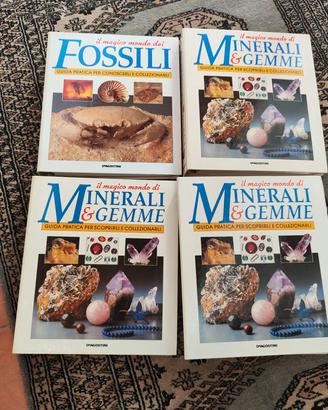 Il magico mondo di minerali e Gemme. Fossili  