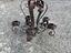 Immagine 4