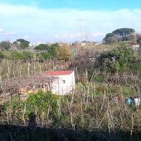 Terreno rustico a atrecase con casetta degli att