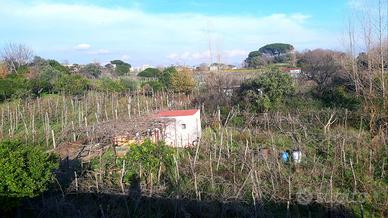 Terreno rustico a atrecase con casetta degli att