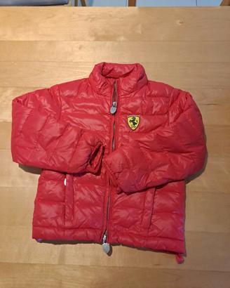 GIUBBOTTO FERRARI