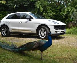 PORSCHE Macan - 2017