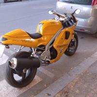 Triumph Daytona t595 