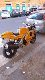 Triumph Daytona t595 