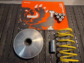 Variatore per Aprilia SR125/200GT