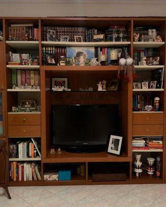 Libreria porta TV