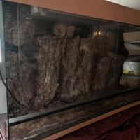 Terrario sia piante carniv.o per piccoli animali