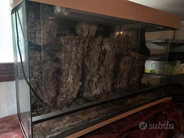 Terrario sia piante carniv.o per piccoli animali