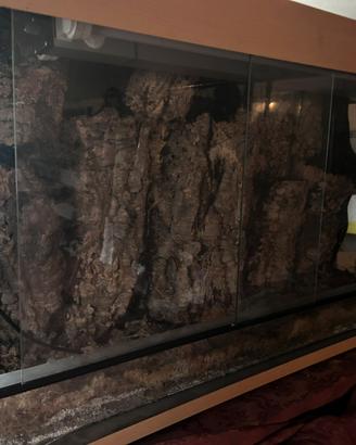 Terrario sia piante carniv.o per piccoli animali