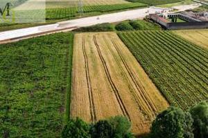 Rif.G272| terreno agricolo chioggia