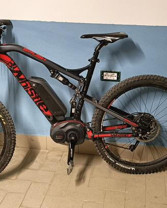 Bici elettrica Whistle