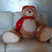 Orso maxi Trudi