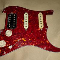Mascherina precablata Fender Stratocaster HSS 
