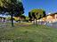 Immagine 20