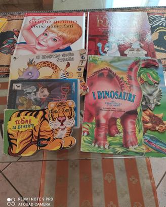 set di libri per bambini + ,gioco per Pc