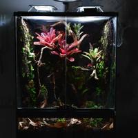 Terrario Bioattivo Professionale Completo 45*45*6