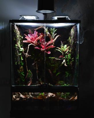 Terrario Bioattivo Professionale Completo 45*45*6