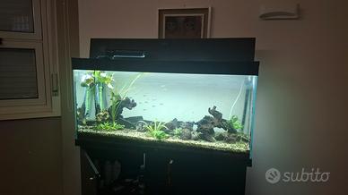 Acquario Askoll Ciano 120