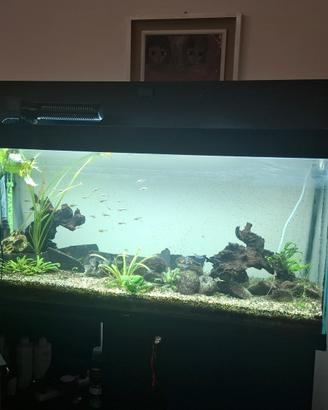 Acquario Askoll Ciano 120