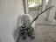 Immagine 2