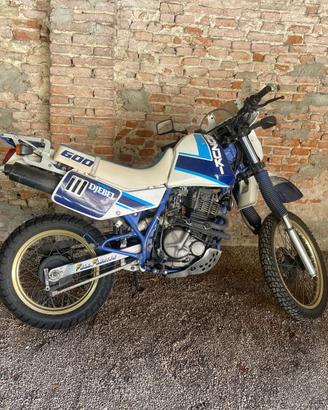 Suzuki DR600 Djebel