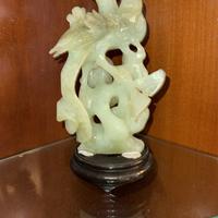 Uccello del paradiso