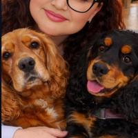 Colf/ Assistenza alla persona