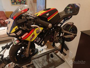 Minimoto DM PERFETTA