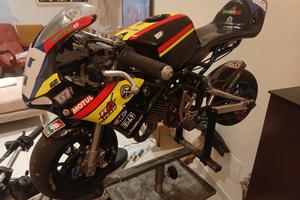 Minimoto DM PERFETTA