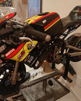 Minimoto DM PERFETTA