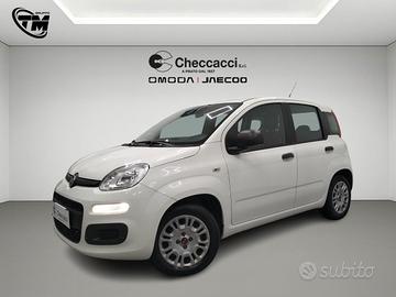 FIAT Panda 3ª serie Panda 1.2 Easy