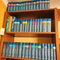 Enciclopedia Le Garzantine - L'Universale