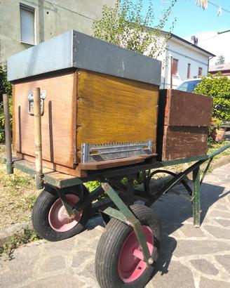 cariola porta Arnie