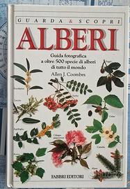 Guida sugli alberi di tutto il mondo