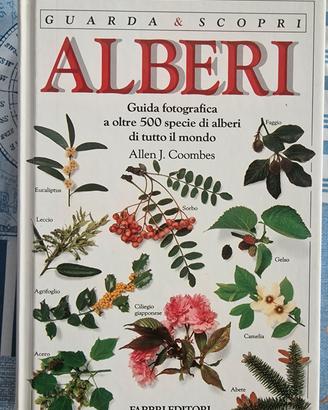 Guida sugli alberi di tutto il mondo