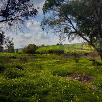 Rustico - Motta Sant'Anastasia