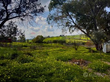 Rustico - Motta Sant'Anastasia