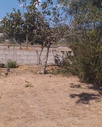 Zona panoramica