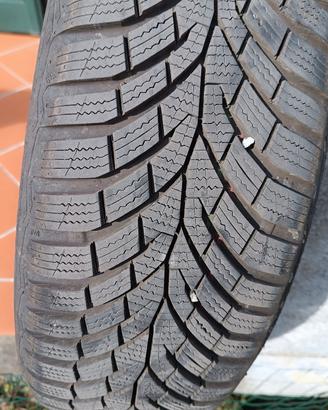 Gomme Invernali Continental Winter contact TS870