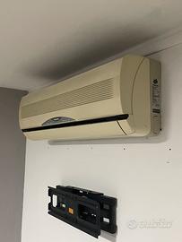 Climatizzatore panasonic dual split