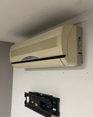 Climatizzatore panasonic dual split
