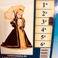 Costume di carnevale contessina