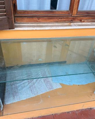 Teca di vetro, Ex acquario