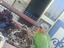 Immagine 2